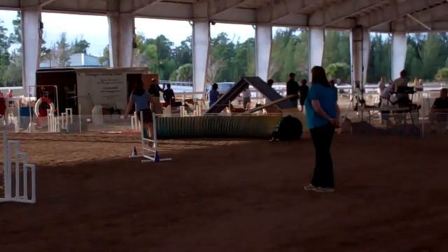 Tailwaggers Thursday Excellent JWW смотреть онлайн