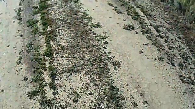 Велопоход 200 км  с ночевкой Часть 1