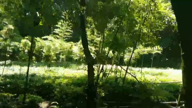 # 5 / Трубач / Пещера / Чайный домик / Полигональная кладка