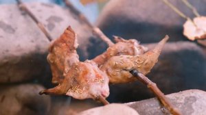 Фейерверк вкусов 1 сезон 32 серия