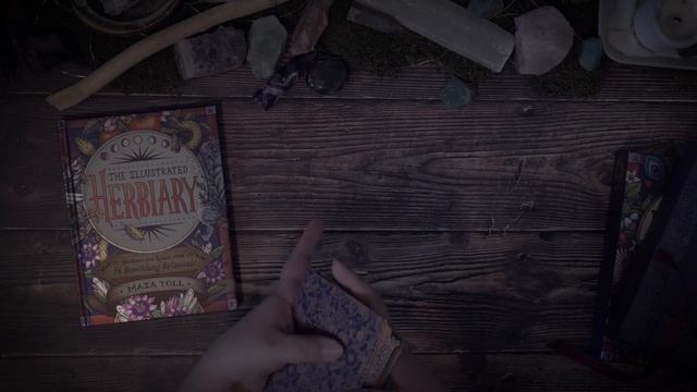 The Illustrated Herbiary Collectible Box Set Oracle Deck Unboxing and Review смотреть онлайн