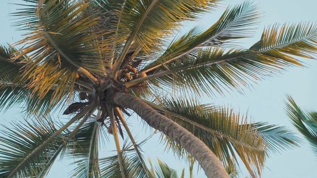 Спокойная музыка для медитации и снятия стресса. Meditation music, nature sounds. смотреть онлайн