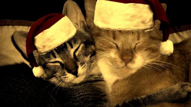 Новый Год 2015 песня. Хит!!! смотреть онлайн