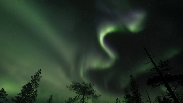 Я, как и Ты, - Человек смотреть онлайн