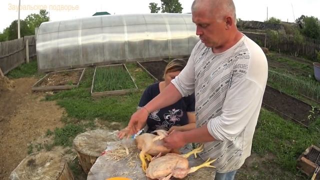 Забили бройлера в месяц Вес месячного цыпленка Деревенская жизнь Зауральского подворья смотреть онлайн