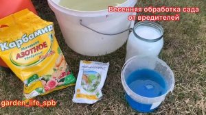 Первый этап обработки яблони и гуши весной, от вредителей и болезней.