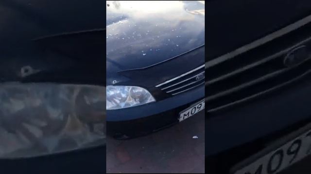 Хозяин грязинского особняка напал на подростков с лопатой смотреть онлайн