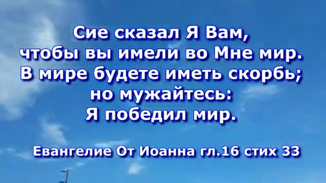 Библейский стих Евангелие от Иоанна гл 16 стих 33 #библия #ветхийзавет #новыйзавет смотреть онлайн
