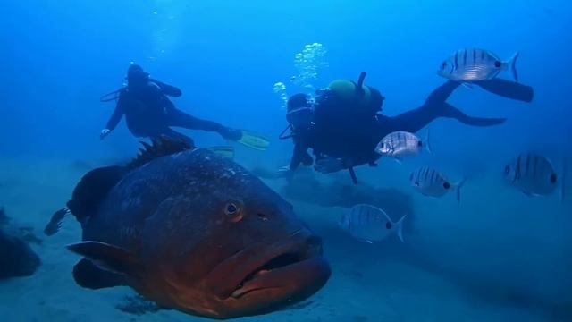 P4150063 смотреть онлайн