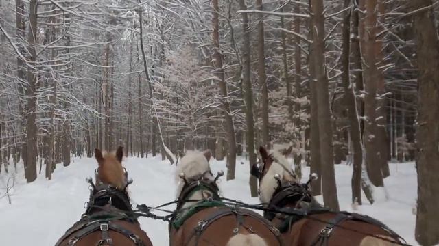 Happy Holidays WBNG Sleigh Ride 30 2021 смотреть онлайн