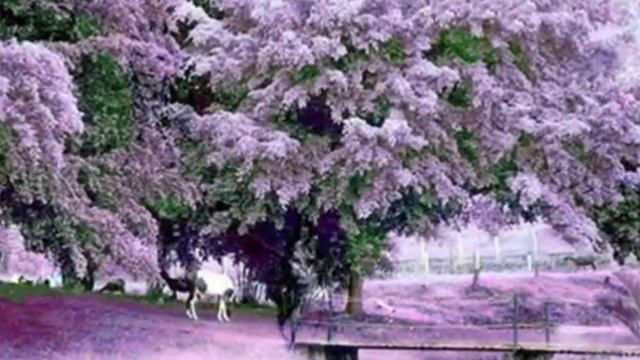 За любовь должны бороться двое.... смотреть онлайн