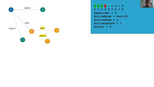 Suffix Tree Construction Using Ukkonen's Algorithm смотреть онлайн