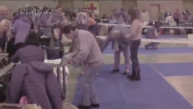 Сабанеевка 2012 г. Польская и Эстонские гончие.wmv смотреть онлайн