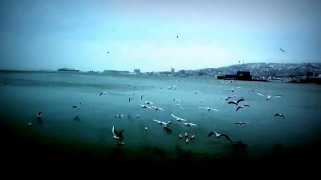 Минус восемь по Цельсию. 18.02.12. Баку смотреть онлайн