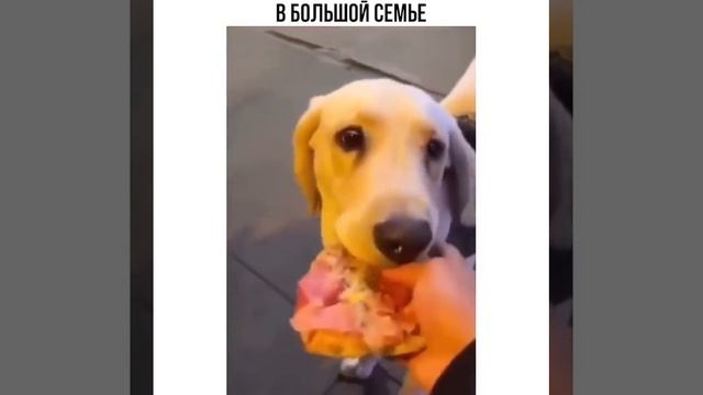 А все смотреть онлайн