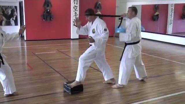 Kimura Shukokai - Samurai Dojo смотреть онлайн