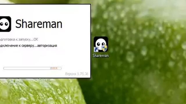 Проблема с Shareman
