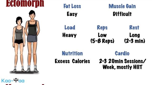 19. Create Custom Workout Optimal for Your Somatotype (Body Type) смотреть онлайн