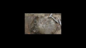 ремонт ножного насоса СССР