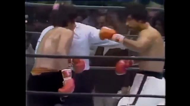 Roberto Duran vs Carlos Palomino смотреть онлайн