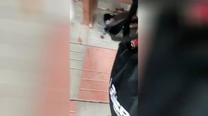 Отзыв на садовый пылесос ЗУБР ЗПСЭ-3000 спустя 3 года использования. Плюсы и минусы