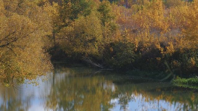 Осень на Воже смотреть онлайн