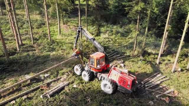 🌲 Der GIGANT! KOMATSU 941.1 Power im Fichtenbestand [SOUND] | Forstbetrieb Rautenberg [4K] смотреть онлайн