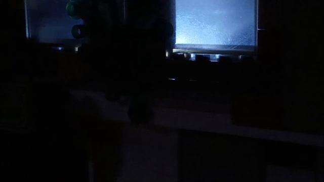 Лего ? Новогодняя Анимация ❄️ про паука I Lego Christmas Animation about a spider смотреть онлайн