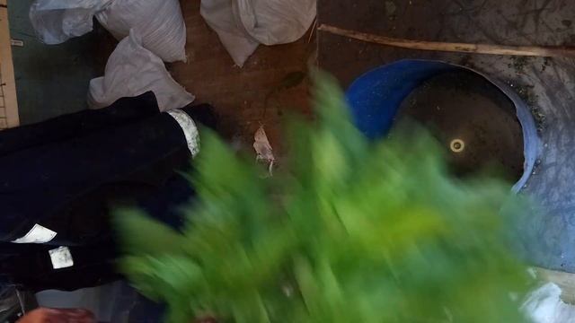 траворезка самодельная!!! смотреть онлайн