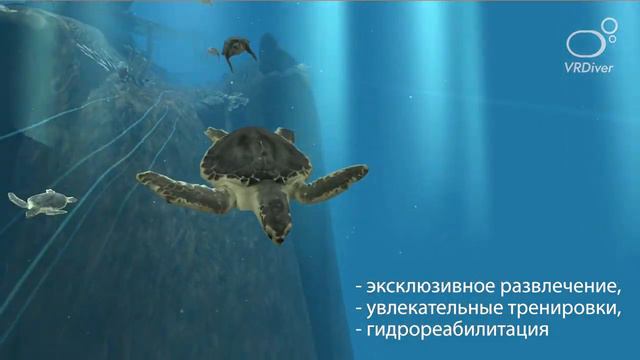 Обзор: системы виртуальной реальности для бассейна VRDiver смотреть онлайн