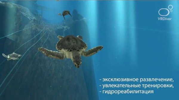 Обзор: системы виртуальной реальности для бассейна VRDiver