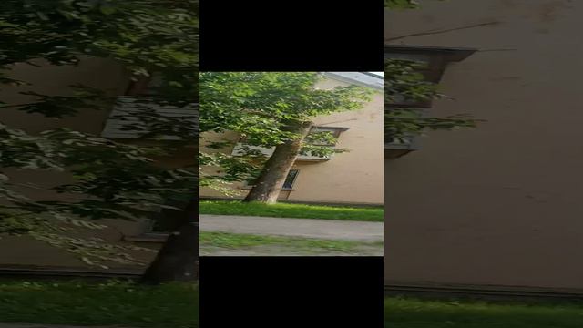 вау смотреть онлайн