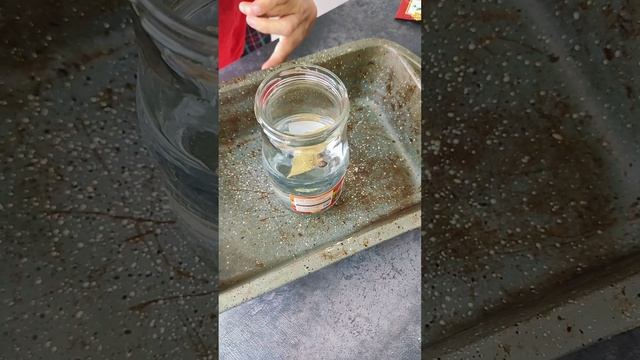 Курица на банке. Рецепт сочной и румяной курочки к праздничному застолью