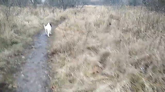 В парке Победа 18.11.2023г Харьков смотреть онлайн