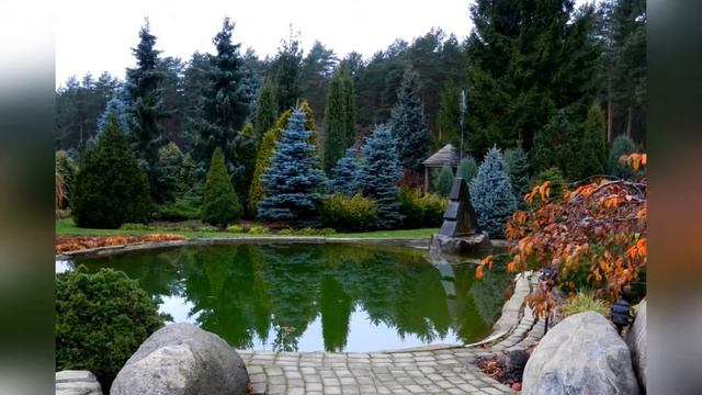 Создание декоративных композиций с участием ели смотреть онлайн