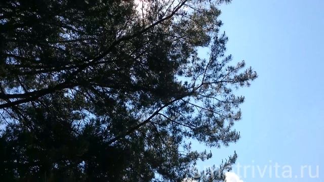 Для душевного и физического умиротворения.