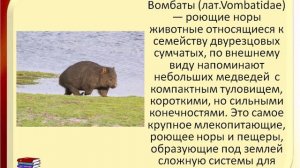 Животные эндемики Австралии