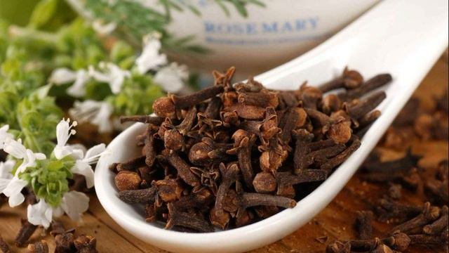 Гордость природы