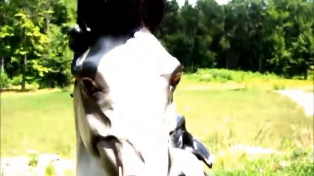 The Seven Deadly Harvest's TRAILER 1 смотреть онлайн
