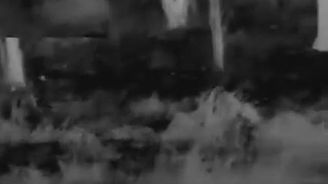 High Quality Thermal Imager For Hunting