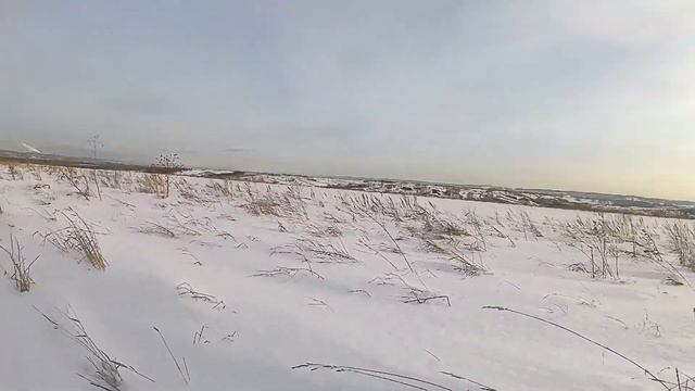 Гуляем с Сэмом.Влог. Часть-1 #хаски,#сибирскийхаски,#собаки,#гуляем,#прогулкасхаски. смотреть онлайн