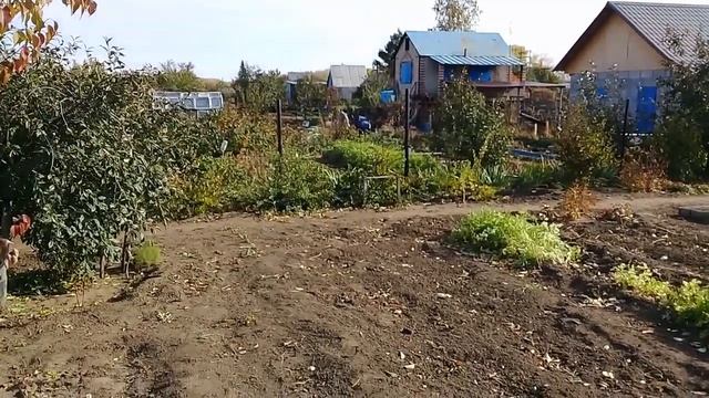 ОКОНЧАНИЕ ДАЧНОГО СЕЗОНА. ГОТОВИМСЯ К ЗИМЕ. смотреть онлайн