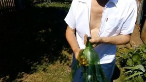 Пальма из пластиковых бутылок своими руками - Привет из Дубовки