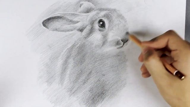 Как нарисовать зайца карандашом? / Рисуем зайчика поэтапно! смотреть онлайн