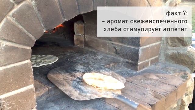 Хлеб: самый полезный и не очень. Советы диетолога. смотреть онлайн