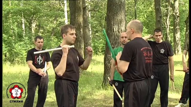 Стихия Вин Чунь. Анонс летнего лагеря 2017г. смотреть онлайн