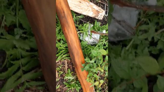 Стальные узорщики смотреть онлайн