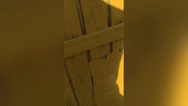 Покраска веранды на даче /Поездка в июле 2022/Дача в Подмосковье смотреть онлайн