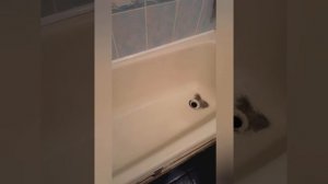 Шпатлёвка ванны перед реставрацией акрилом.