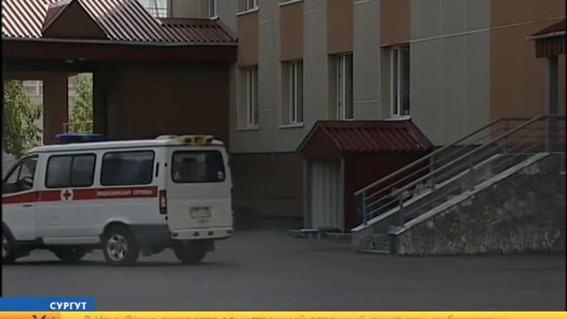 На жителя Локосово напала медведица смотреть онлайн